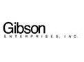 GIBSON ENTERPRISES INC  Products