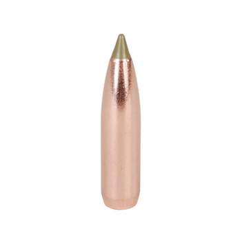 Nosler 30 Caliber (0.308