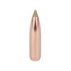 Nosler 9.3MM (0.366