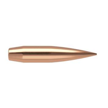 Nosler 6.5MM (0.264