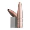 Lehigh Defense 243 Caliber (0.243