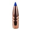 Barnes Bullets 22 Caliber (0.224