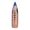 Barnes Bullets 416 Caliber (0.416