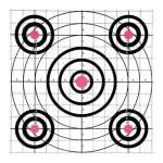 CHAMPION TARGETS ORANGE & WHITE BULL TARGETS 12 PER PACK, PAPER