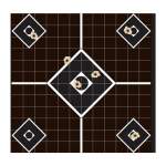 CHAMPION TARGETS VISISHOT SIGHT-IN TARGETS 10 PER PACK