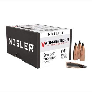 Nosler 6MM (0.243