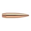 Nosler 6MM (0.243