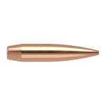 NOSLER 6MM (0.243