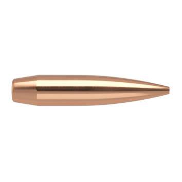 Nosler 6MM (0.243