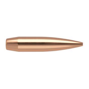 Nosler 6MM (0.243