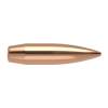 Nosler 30 Caliber (0.308