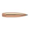 Nosler 7MM (0.284