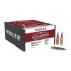 Nosler 6.5MM (0.264