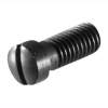 Colt Single Action Army 45LC  5.5 Rear Guard Screw, Blued