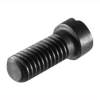 Colt Single Action Army 45LC  5.5 Rear Guard Screw, Blued