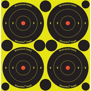 Birchwood Casey Shoot-N-C Target 3