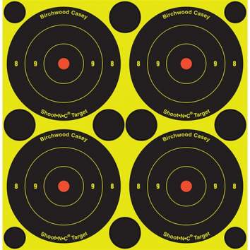 Birchwood Casey Shoot-N-C Target 3