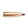 NOSLER 6MM (0.243