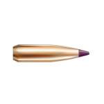 NOSLER 6MM (0.243