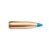 Nosler 25 Caliber (0.257