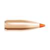 Nosler 22 Caliber (0.224