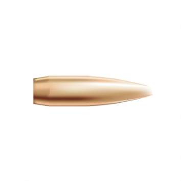 Nosler Custom 22 Caliber (0.224