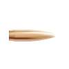 Nosler 22 Caliber (0.224