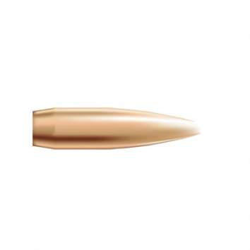 Nosler 22 Caliber (0.224