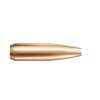 Nosler 25 Caliber (0.257