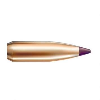 Nosler 6MM (0.243