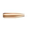 Nosler 6.5MM (0.264