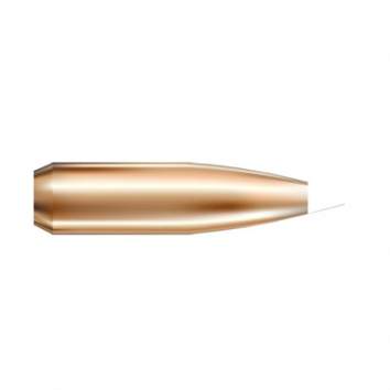 Nosler 7MM (0.284