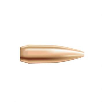 Nosler 30 Caliber (0.308