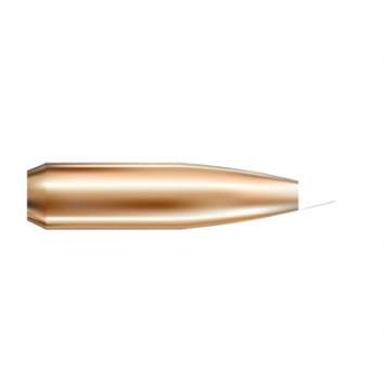 Nosler 7MM (0.284