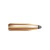 Nosler 6MM (0.243