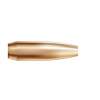 Nosler 338 Caliber (0.338