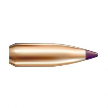 Nosler 6MM (0.243