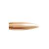 Nosler 22 Caliber (0.224