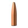 Barnes Bullets Varmint Grenade Bullets 6MM 62 GR Hollow Point Flat Base 250 Per Box