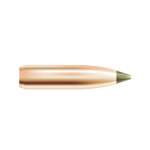 NOSLER 25 CALIBER (0.257