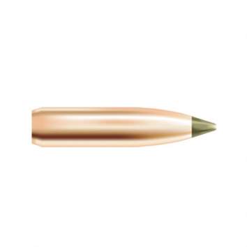 Nosler 25 Caliber (0.257