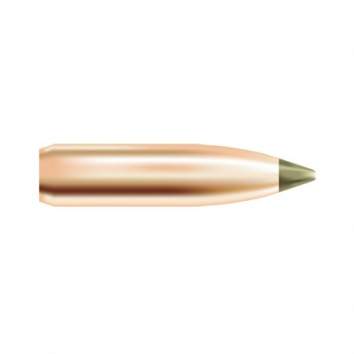 Nosler 30 Caliber (0.308