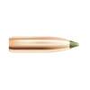 Nosler 30 Caliber (0.308