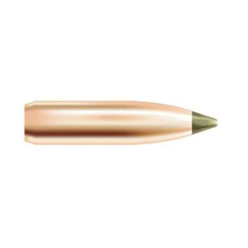 Nosler 30 Caliber (0.308