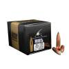 Nosler 30 Caliber (0.308