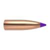 NOSLER BALLISTIC TIP LEAD FREE 6MM (0.243