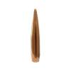 Sierra Bullets 30 Caliber (0.308