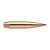 Nosler 6MM (0.243