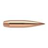 Nosler 6MM (0.243