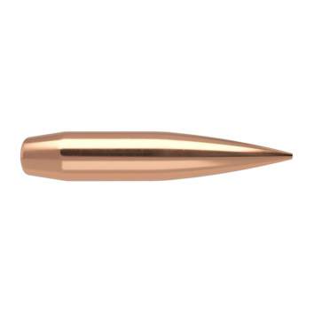 Nosler 6MM (0.243